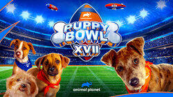 Puppy Bowl XVII Puppy Bowl XVII