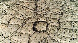 Accidental Discoveries Accidental Discoveries