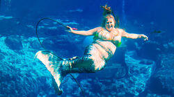 Mermaid Mermaid