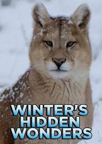 Winter's Hidden Wonders Winter's Hidden Wonders