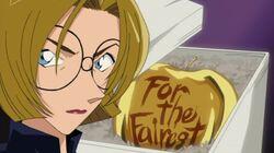 Shinichi Kudo's New York Case (The Case)