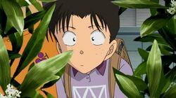 The Detective Boys and the Four Caterpillar Brothers The Detective Boys and the Four Caterpillar Brothers