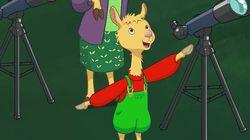 Llama Llama Light Show / Luna's Perfect Leaf Llama Llama Light Show / Luna's Perfect Leaf