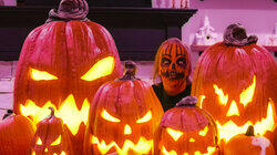 Little House of Horrors Little House of Horrors