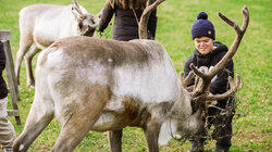 Reindeer Games Reindeer Games