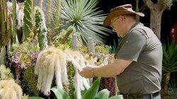 Episode 17 - Habitat, Camellia, Seedling, Herbs & Collector Episode 17 - Habitat, Camellia, Seedling, Herbs & Collector