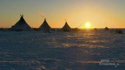 The Reindeer People The Reindeer People
