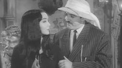 Cat Addams Cat Addams