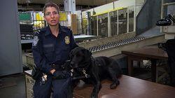 Border Security - 4072 Border Security - 4072