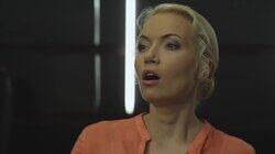 Дачная история Дачная история