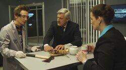 Темная лошадка Темная лошадка