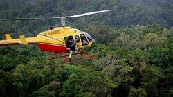Jungle Survival Stories Jungle Survival Stories