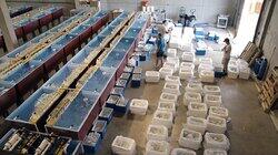 14 Tanks and a Shipwreck 14 Tanks and a Shipwreck