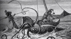 Curse of the Kraken Curse of the Kraken