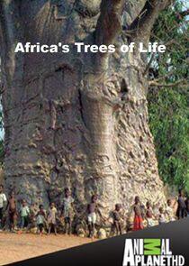 Africa's Trees of Life - Season 1 Africa's Trees of Life - Season 1