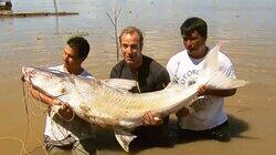 Peru Peru