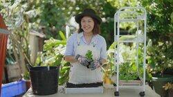 Episode 14 - Eucalypt, Herbs, Restore, Mosaic, Winter & Bee Episode 14 - Eucalypt, Herbs, Restore, Mosaic, Winter & Bee