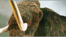 Last Extinction (Megabeasts' Sudden Death) Last Extinction (Megabeasts' Sudden Death)