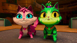 The Catnip Conundrum The Catnip Conundrum
