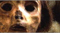 The Perfect Corpse The Perfect Corpse