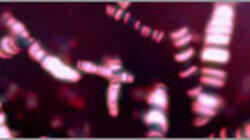 Ghost in Your Genes Ghost in Your Genes