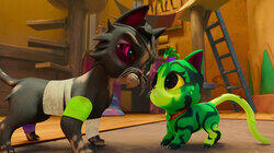 Spirit Cats Spirit Cats