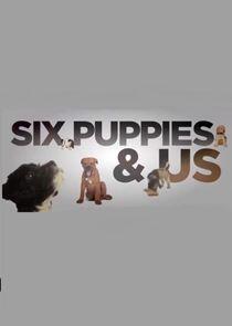 Six Puppies and Us Six Puppies and Us
