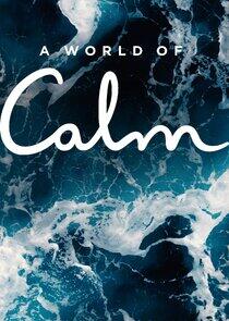 A World of Calm A World of Calm
