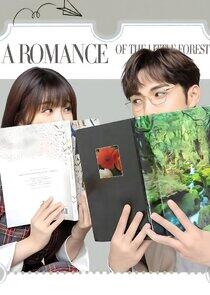A Romance of the Little Forest A Romance of the Little Forest