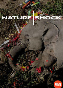 Nature Shock Nature Shock