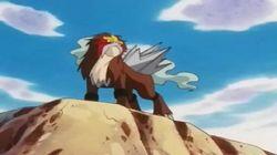 Entei at Your Own Risk Entei at Your Own Risk