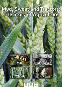 Mud, Sweat and Tractors: The Story of Agriculture Mud, Sweat and Tractors: The Story of Agriculture