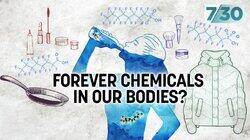 Forever Chemicals in Our Bodies Forever Chemicals in Our Bodies