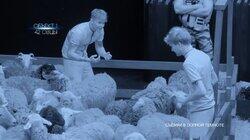 Выпуск 5. Французов, Чекунов, Турчин, Чочиева, RASA, Пермякова, Морозова Выпуск 5. Французов, Чекунов, Турчин, Чочиева, RASA, Пермякова, Морозова