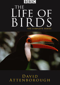 The Life of Birds The Life of Birds