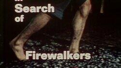 Firewalkers Firewalkers