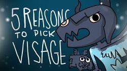 5 REASONS TO PICK VISAGE 5 REASONS TO PICK VISAGE