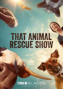 That Animal Rescue Show That Animal Rescue Show