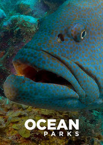 Ocean Parks Ocean Parks