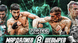 Мардалиев vs. Шевырёв Мардалиев vs. Шевырёв