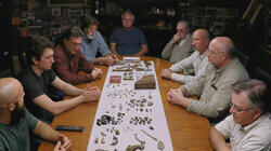 Amazing Discoveries Amazing Discoveries