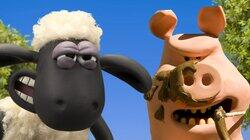 Pigs v Sheep 2