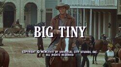 Big Tiny