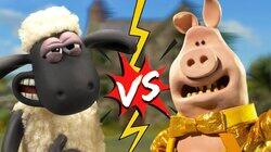 Pigs v Sheep