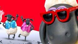 24 Hour Party Sheep