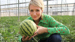Black Pudding, Watermelons, Rock Candy Black Pudding, Watermelons, Rock Candy