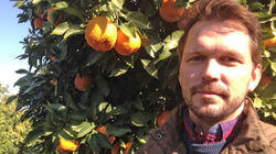 Marmalade, Fish, Goat Marmalade, Fish, Goat
