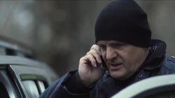 Термит в муравейнике Термит в муравейнике