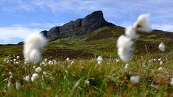 Small Isles: Small Is Beautiful Small Isles: Small Is Beautiful