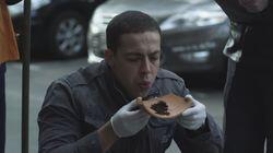 Берегись автомобиля Берегись автомобиля
